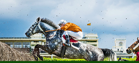 Get Your Horse Racing Free Bet 