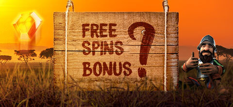 free spin bonus LeoVegas